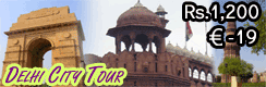 Delhi City Tour